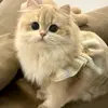 nancybearden442 - @nancybearden442 - TikTok
