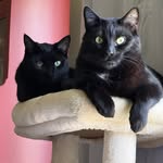 Nancy Beaton - @blueskye1968 - Instagram