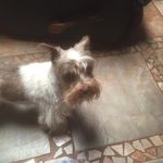 Nancy Beaver - @nancy.beaver.129 - Instagram