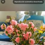 Nancy Becerril - @nancy.becerril.676530 - Instagram