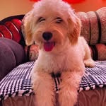 Nancy Becerril - @becerril677 - Instagram