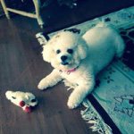 Nancy Bechtold - @bechtoldnancy - Instagram