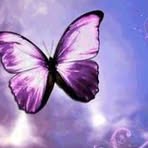 Nancy Bedell - Facebook