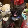 nancyadamsbedell - @nancyadamsbedell - TikTok