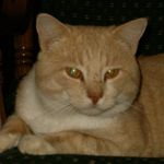 Nancy Beeler - @nancybeeler1027 - Instagram
