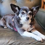 Nancy Begin - @nbegin4 - Instagram