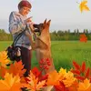 Nancy Behne ❤️Team Bauern❤️ - @nancybehne - TikTok