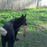 Nancy Behnke - @nancybehnke - Instagram