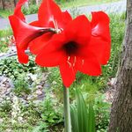Nancy Yeomans Behnke - @justnancemcleod - Instagram