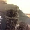 nancybakerbehnke - @nancybakerbehnke - TikTok