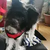 Nancy Beitz - @nancybeitz - TikTok