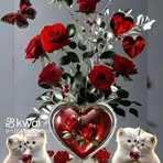 Nancy Bejarano - Facebook