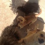Nancy Bejarano - @that_phx_child - Instagram