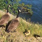 Nancy Beland - @nancy.beland.75 - Instagram