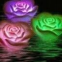 Nancy Bellen - Facebook