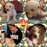 Nancy Bellido - @nancy.bellido.77 - Instagram