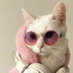 Nancy Below - @belownancy - Instagram