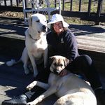 nancybelton - @nbeltonsanlori - Instagram