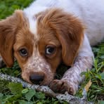 Nancy Bement - Facebook