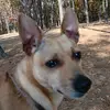 nancybenefield - @nancybenefield - TikTok