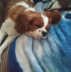 Nancy Benish - Facebook
