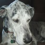 Nancy Berardinelli - @berardinellinancy - Instagram