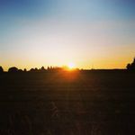 Nancy bergen - @nancybergen6096 - Instagram