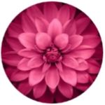 Nancy Bergen - @bergen3004 - Instagram