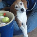 Nancy Bergin - @123ebbb - Instagram