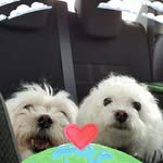 Nancy Berko - @nancy.berko.3 - Instagram