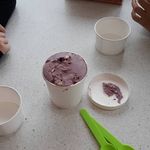 Nancy Berkowitz - @nancyisfancy124 - Instagram