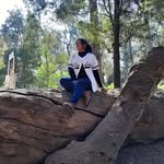 Nancy Berlanga - @nancy_bacilio33 - Instagram