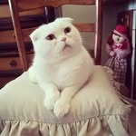 Nancy Bernardi - @nancy._.b - Instagram