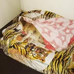 Rita Nancy Bernardi - @ritanancybernardi - Instagram