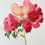 Nancy Bernhardt - @nancy.bernhardt - Instagram