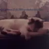 nancybernhardt639 - @nancybernhardt639 - TikTok