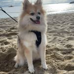 Nancy Bert - @na.ncy2869 - Instagram