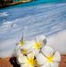 Nancy Ricksham Berthold - Facebook