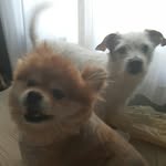 Nancy Beshara - @besharan1 - Instagram