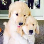 @nanc.ybeth - Instagram