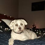 Nancy Bethune - Facebook