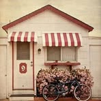 Nancy Bethune - Facebook