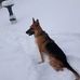Nancy Betteridge - Facebook