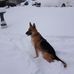 Nancy Betteridge - Facebook