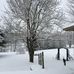 Nancy Betteridge - Facebook