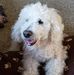 Nancy Beutel - Facebook