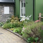 Nancy Bevan - @inthegardenwithnancy - Instagram
