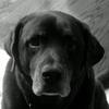 nancybevans - @nancybevans - TikTok