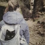 Nancy Beyer - @nancy.beyer1953 - Instagram