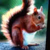 Annie Bialik - @nany.blk - TikTok